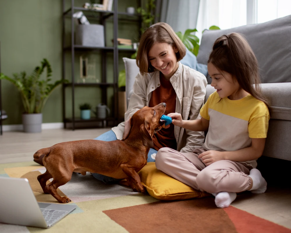 automatic pet feeder for 2 cats